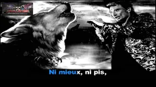 Karaoké Johnny Hallyday - Entre chiens et loups (dévocalisé)