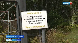 Городское кладбище Комсомольска-на-Амуре закрыли для посещений… из-за нашествия медведей