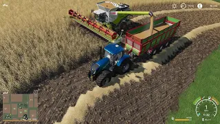 Fs19 | Wheat Harvest | Claas Lexion 780 | New Holland T7