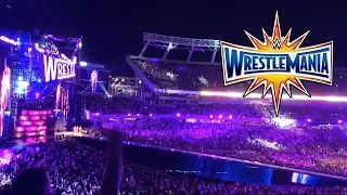 THE HARDY BOYZ RETURN! WRESTLEMANIA 33 LIVE REACTION FROM CROWD! MATT HARDY AND JEFF HARDY!