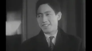 Flower is not faking （1941）