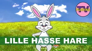 Lille Hasse Hare (har ei flue på sin nese) - Norske barnesanger