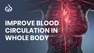 Blood Circulation Frequency: Rife Frequency for Better Blood Flow