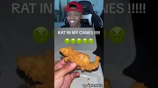 Rat in my canes