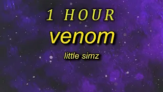 Little Simz - Venom  (Lyrics)   it's a woman's world so to speak venom| 1 HOUR