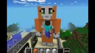 Mr Stampy cat