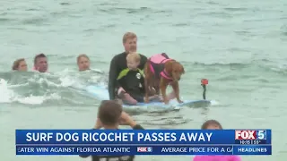 Surf Dog Ricochet Passes Away