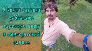 Сыроедение. В каких случаях добавлять варенную пищу в сыроедческий рацион. Важно!