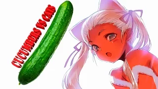 Cucumbers attack cats / Огурцы и коты #1