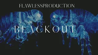 FlawlessProduction - "Blackout" Trap Type Beat