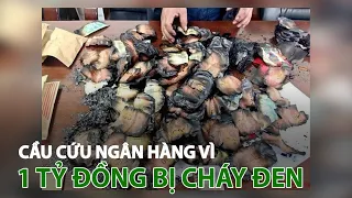 Cầu cứu ngân hàng vì một tỷ đồng bị cháy đen| VTC14