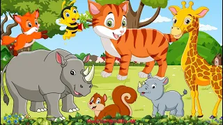 Lovely Animal Sounds In 30 Minutes: Rhino, Giraffe, Fox, Squirrel, Cat, Bee  | Animal Moments