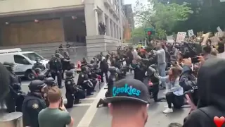 Приклонили колено друг другу, полиция 👮‍♀️ и митингующие