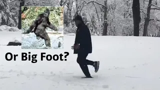 Bigfoot or not? Central Park New York