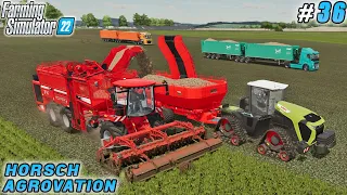 Improve Beet Harvest Efficiency by Purchasing Beet Harvesting Equipment | HORSCH  Farm | FS 22 | #36