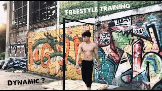 Dynamic training ? Calisthenics Vlog #calisthenics #vlog