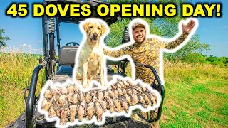 PUBLIC LAND Dove Hunting on OPENING DAY!!! (CATCH CLEAN COOK) - 45 Doves Down