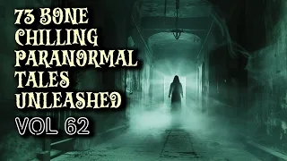 73 Bone Chilling Paranormal Tales Unleashed | Vol 64