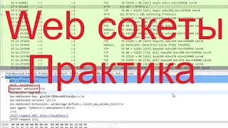 Web сокеты | Практика по компьютерным сетям