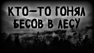 Истории на ночь: Кто-то гонял бесов в лесу