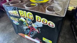 The Big Dog 3” 500G firework World Class Fireworks #boom #fireworks #bangers #nice #big #pyro #sick