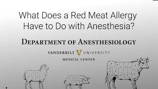 Grand Rounds: What Does a Red Meat Allergy Have to Do with Anesthesia?