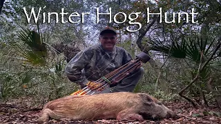 Winter Hog Hunt 2024 Traditional Bowhunting!