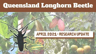 QLB Research Update April 2021