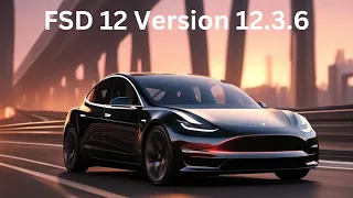 FSD 12  Sunset/Night Drive | Version 12.3.6 | Supervised - Full Self Driving Tesla Model 3