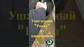 LADA VESTA NG vs SKODA RAPID. Тест на сельдерей.