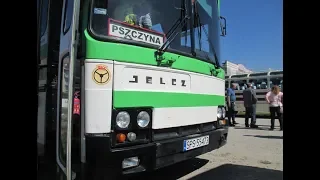 Autobusy na zlocie Jelcza w Jelczu-Laskowicach 2019