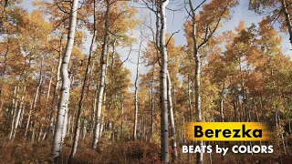 BEREZKA #beatstars #freebeat #draketypebeat #guitarbeat #beatsbycolors