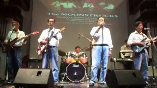 CHERISH cover by TOTO EALDAMA and the MOONSTRUCKS