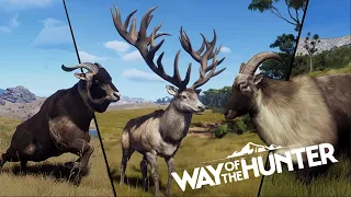 New Zealand Announced! Fluffy Goats and Monster Red Deer Coming in Way Of The Hunter!