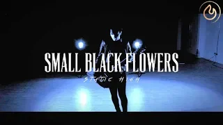 The Small Black Flowers - Static High (Official Music Video)