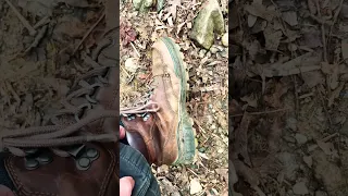 Ecco Track 25 2-3 year review