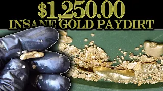 $1,250.00 Bag of Dirt has HUGE Gold Nuggets!