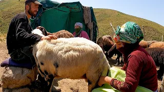 Şavaklılar ve Koçerler (Bağır Dağı Yörükleri)