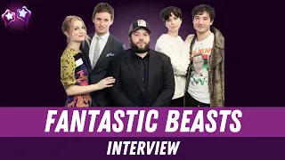 Fantastic Beasts Cast Interview: Eddie Redmayne & Ezra Miller Reveal Behind-the-Scenes Secrets