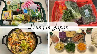 days in my life | grocery shopping, go Kamakura, Chanpon Ramen & drinking at home