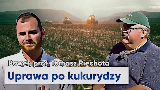 Porady prof. Piechoty - głęboszowanie, gleby ciężkie, uprawa po kukurydzy | e-pole do popisu #122