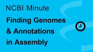 The NCBI Minute: Finding Genomes and Annotations in Assembly
