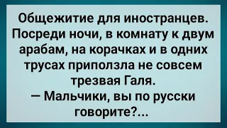 Галя и Два Араба в Комнате! Сборник Свежих Анекдотов! Юмор!