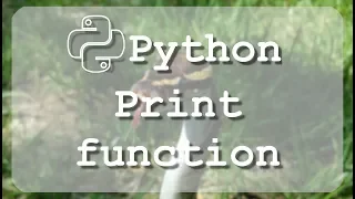#3 Learn to use Python print statement with Sublime editor