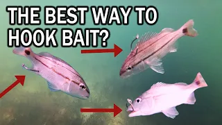 The BEST Place to Hook Your Bait