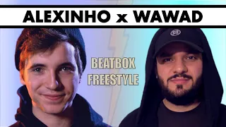 I BEATBOX ON ALEXINHO’S VIDEO!!! Tag team Video #3 ! (Beatbox Freestyle)