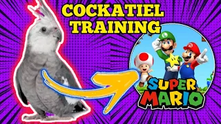 COCKATIEL TRAINING - Super Mario theme (Cockatiel singing)