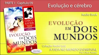 EVOLUÇÃO EM DOIS MUNDOS | Capítulo 09 - Evolução e cérebro - Livro de André Luiz por Chico e Waldo