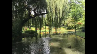 Rachmaninov "Melody" - Irina Arkhipova & Ivari Ilja