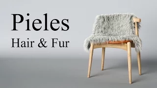 Hair & Fur tutorial de pieles Vray